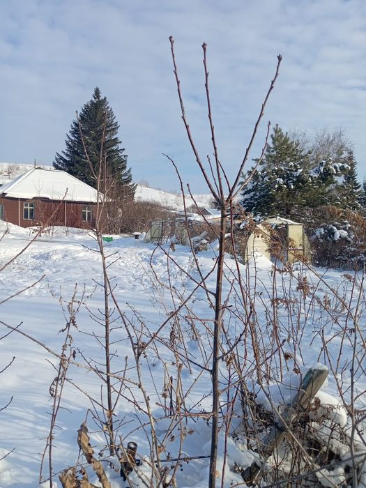 Продажа дом в Усть Каменогорск