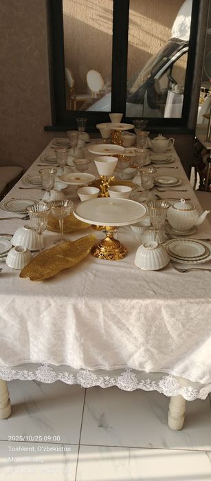 Пасудь, прокат ,chinnilar ijaraga beriladi