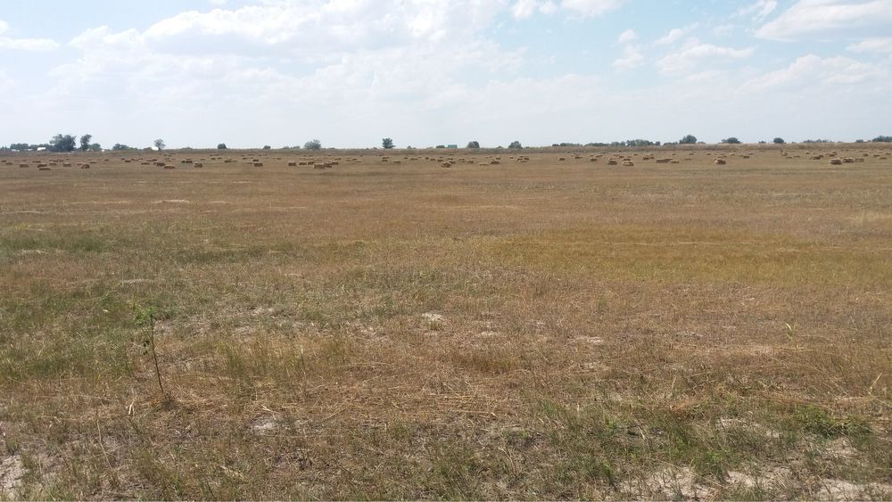 Земельный участок 1,26 гектар