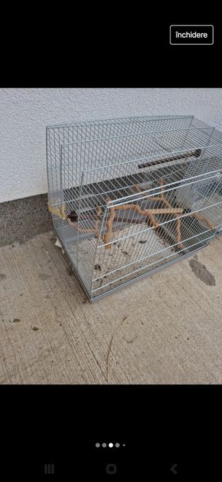 Colivie cu accesorii