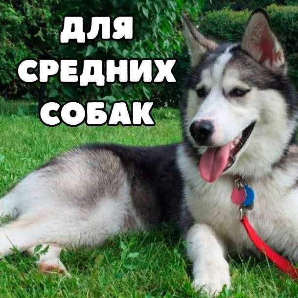 Домик для собак утепленные будки