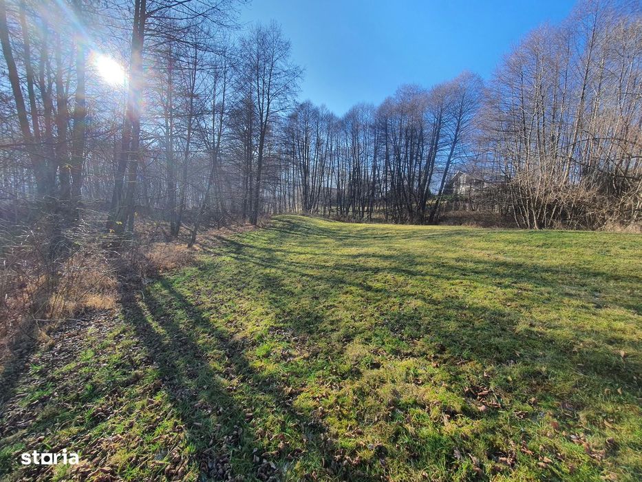 Teren rezidential zona Bran Predelut zona de case si pensiuni