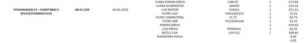 Vand Volkswagen T4 1991