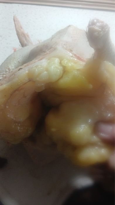 Домашние куры на бульон