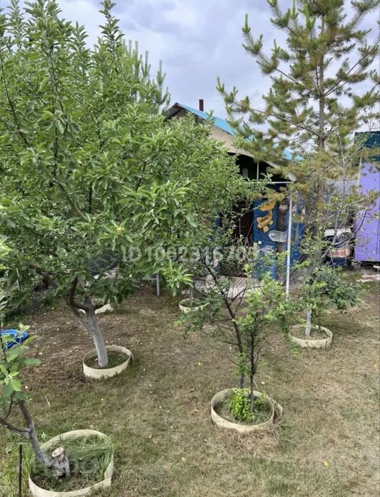 Продается дача. Обмен на авто