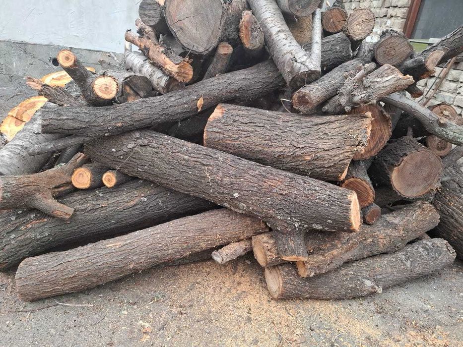 Продам дрова, недорого в Алматы