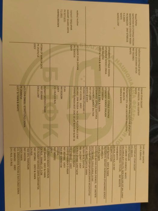 Кавказка овчарка