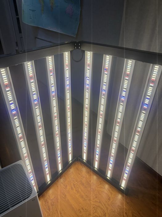 Лампа 1000 ВАТТ. Для Выращивания Растений ЛЮБОГО вида