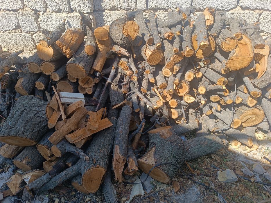 Пеньки, двова, ветки. (Урюк). Новый