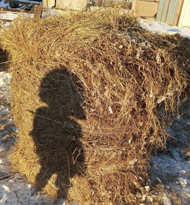 Шөп! Рулон луговое-разнотравье