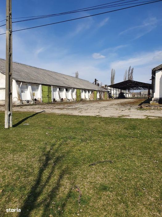Hala de vânzare, 40.000 mp, gata de utilizare