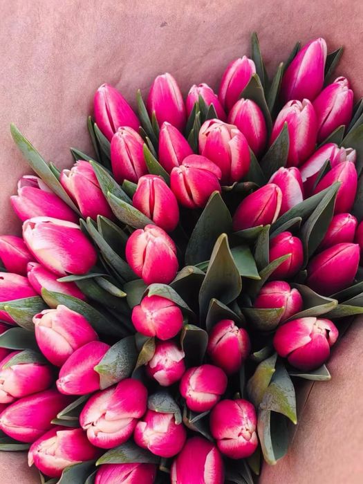 Тюльпаны на 8 марта