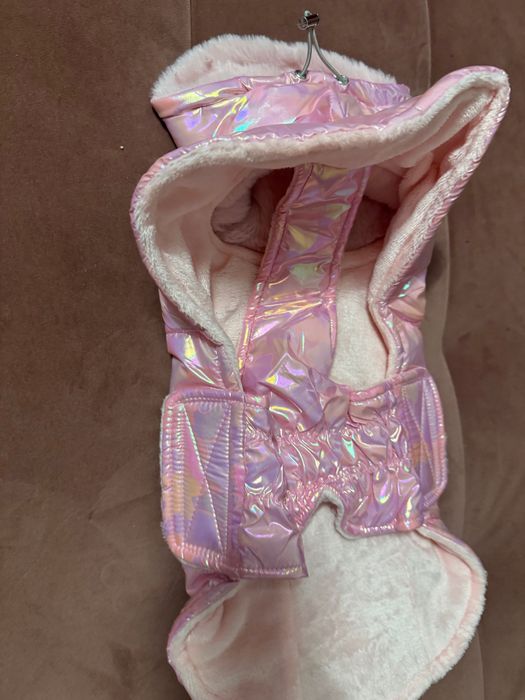 Hainute iarna Craciun catelusa talie mica/medie