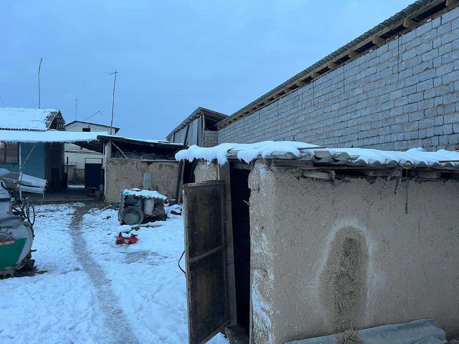 Срочно уй ТИнчлик куштепа, 3 сотих, 16000 нархи