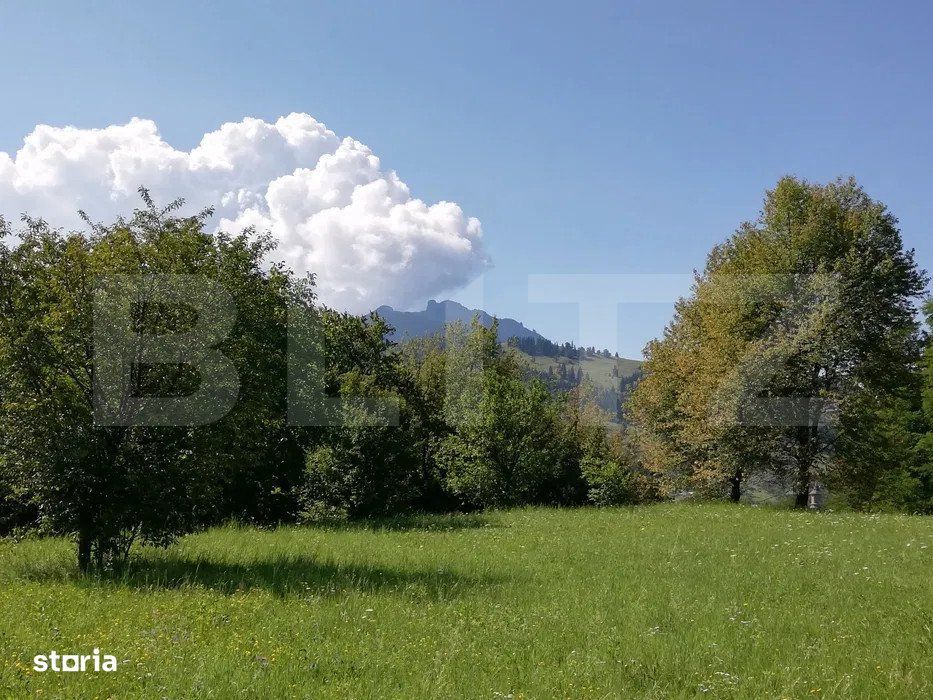 Teren 2500 mp, la strada, Ceahlau,, locatie perfecta