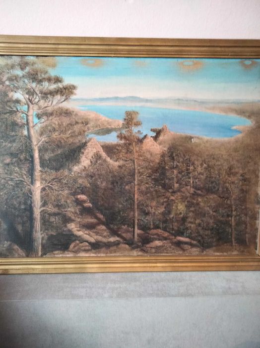 Картина Боровое вечером