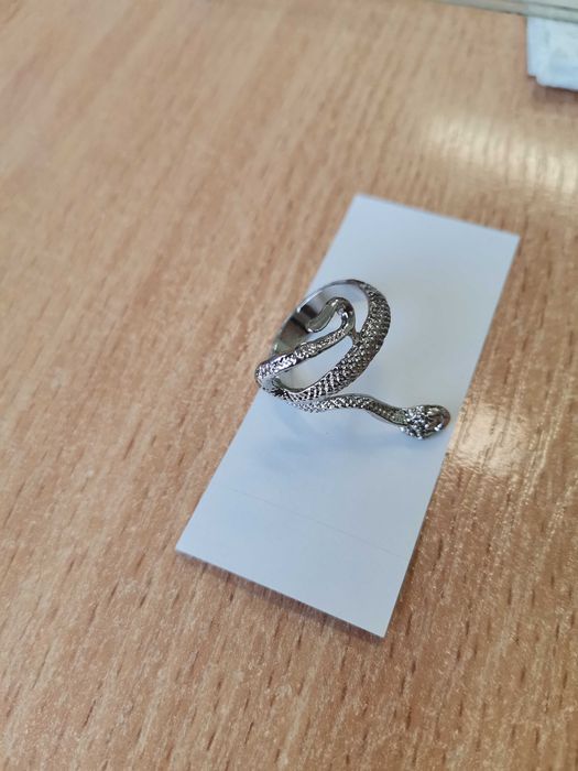 2025 година на змията