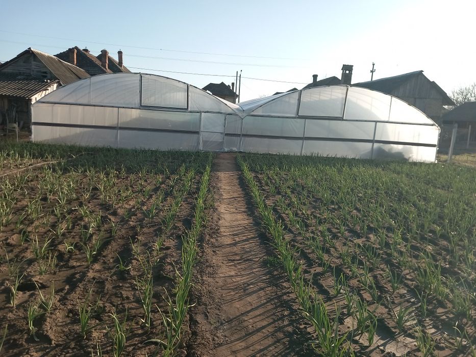 Vând solar aflat în Poiana Mare