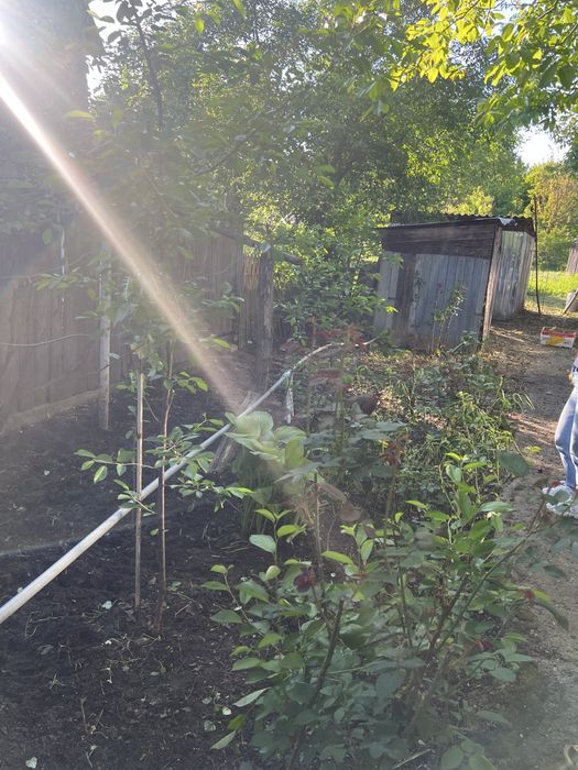 Casa Traian, acces direct din drumul Bacau-Vaslui