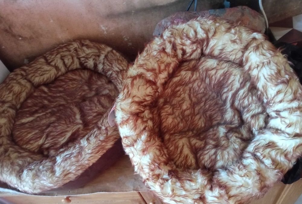 Легло за коте или куче