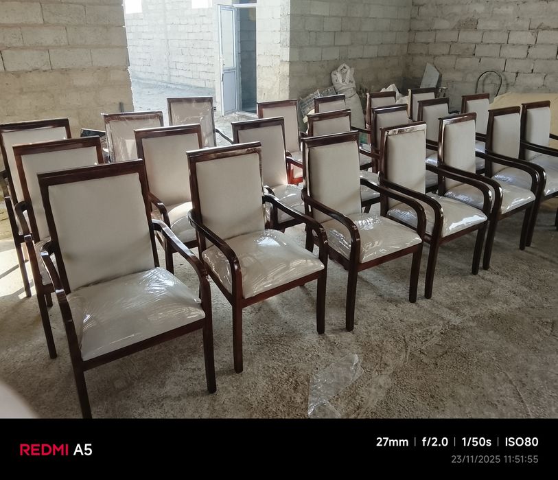 Дипломнат сенатор стул