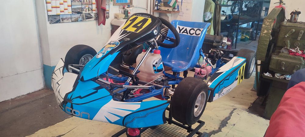 Картинг профессиональный