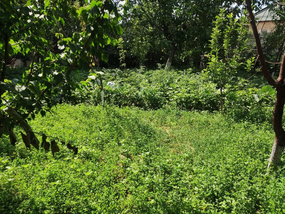 Продается дом.   .