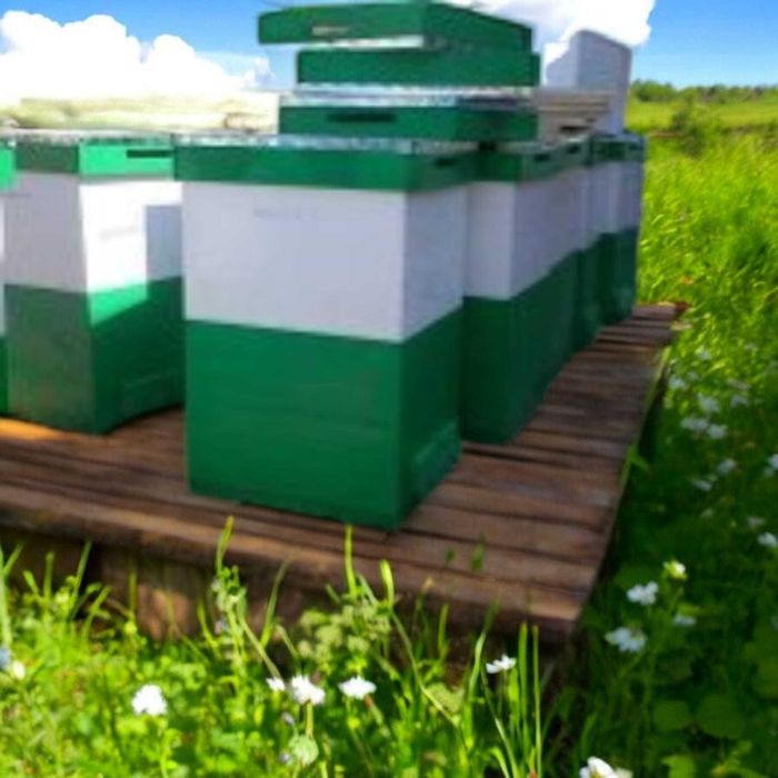 stup albine - orice model prețuri începând de la 155 lei/buc