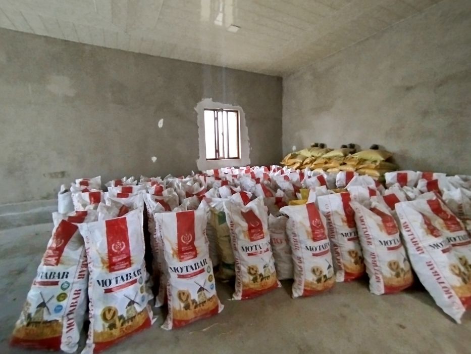 Makkajoʻxori sõtasi