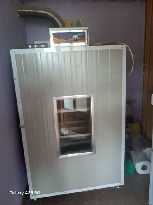 Vând 2 familii de struți producatori