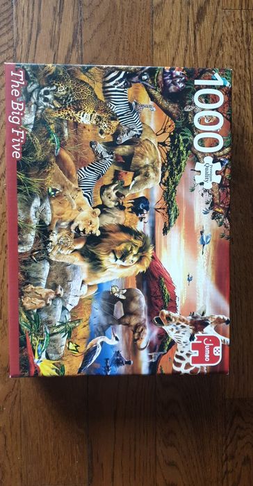 Puzzle-uri 1000 piese