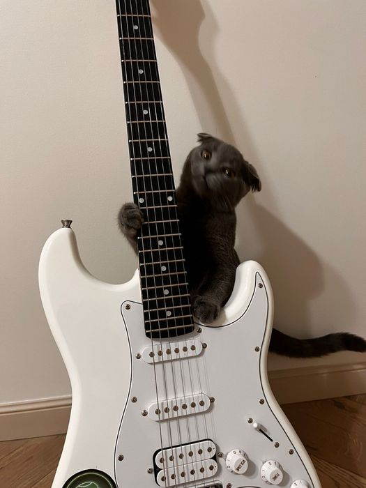 Продам Элеткро гитару