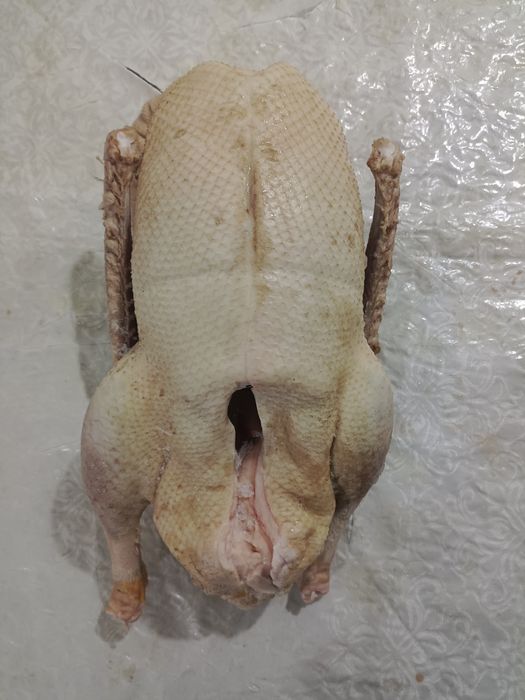 Гусь Гусь Гусь Қаздар Қаздар