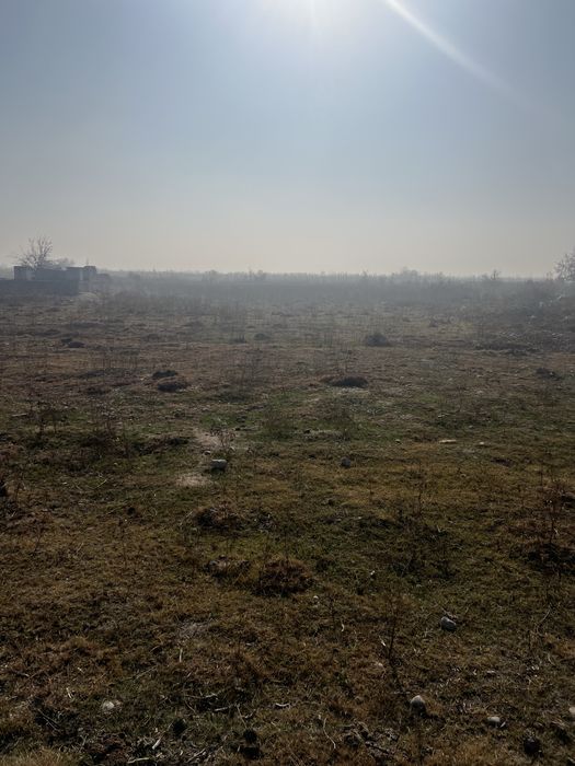 Янгиюлда ер сотилади