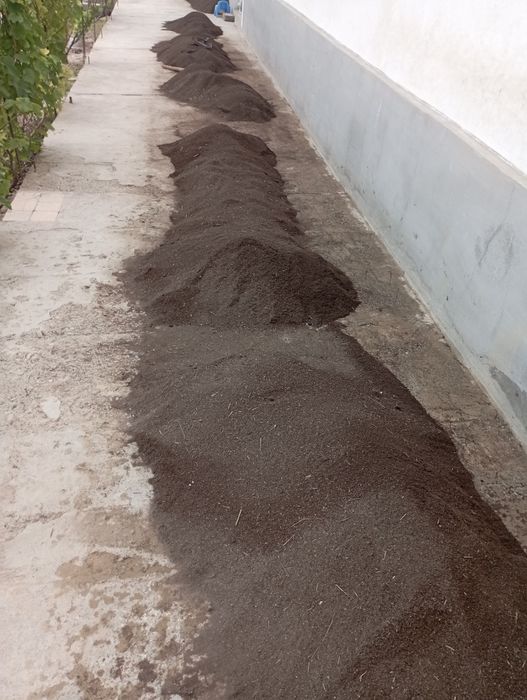 Sifatli 03 setkada elangan biogumus sotiladi 1000