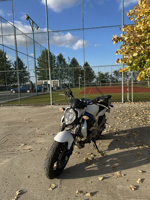 Suzuki sv650 Gladius A2
