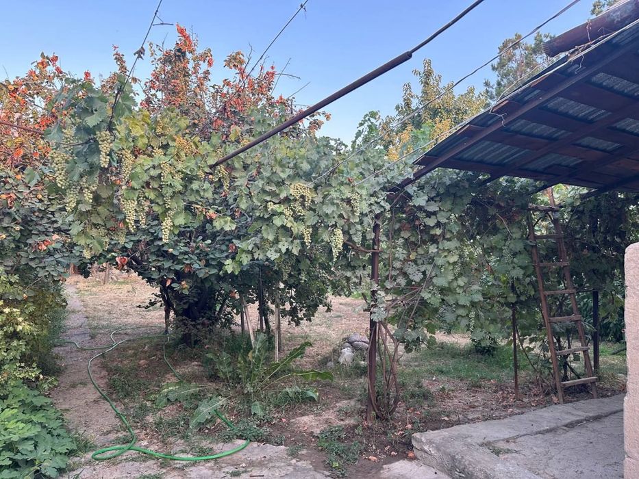 Продается дача Паркент (Навбахор)