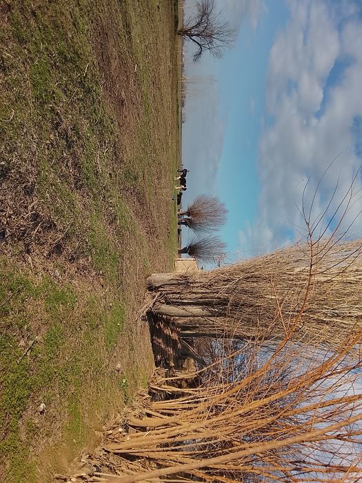 Срочна 53 сотихли йер учаскамиз сотуга чикти