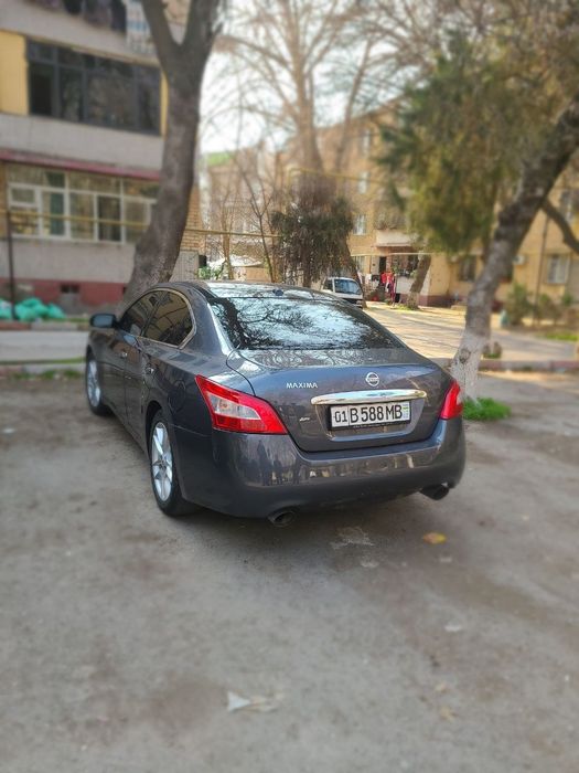 Nissan Maxima A35