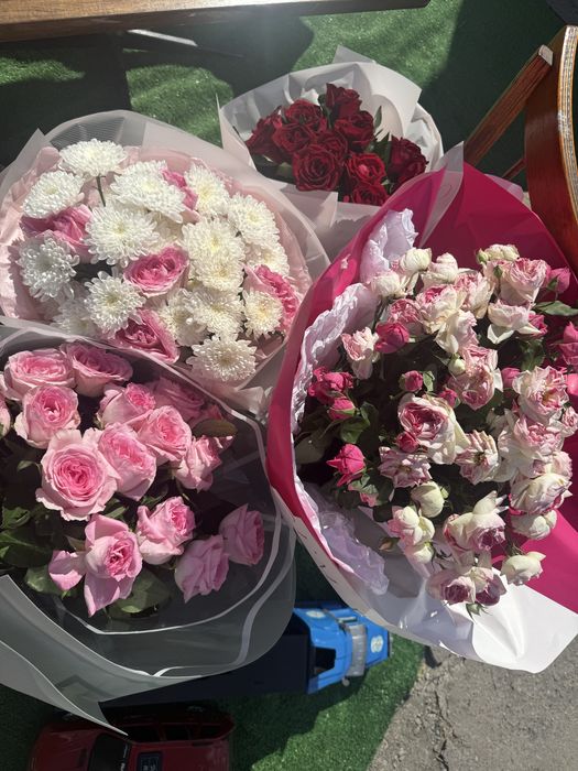 Продам цветы. Цветы продам.