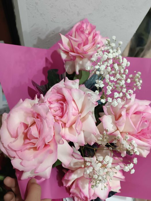 Продам цветы б/у