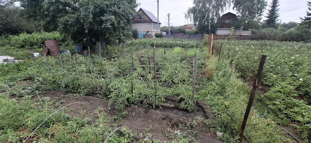 Продам дачный участок