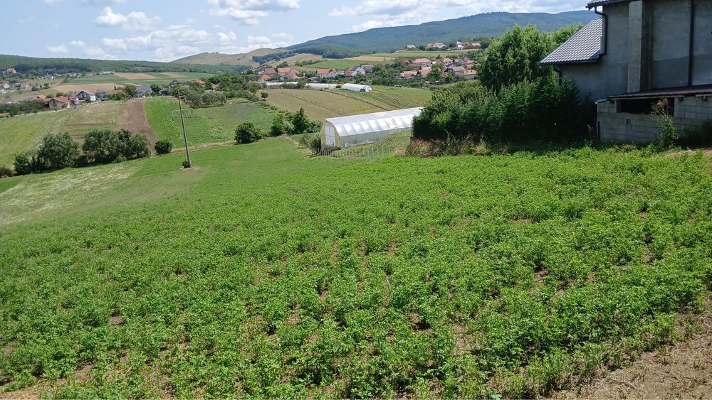 Teren intravilan 3.000 mp, Zalău – Ortelec, zona Pe Deal / strada Deleni