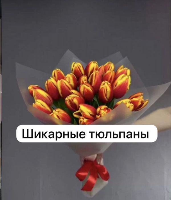 •цветы •тюльпаны