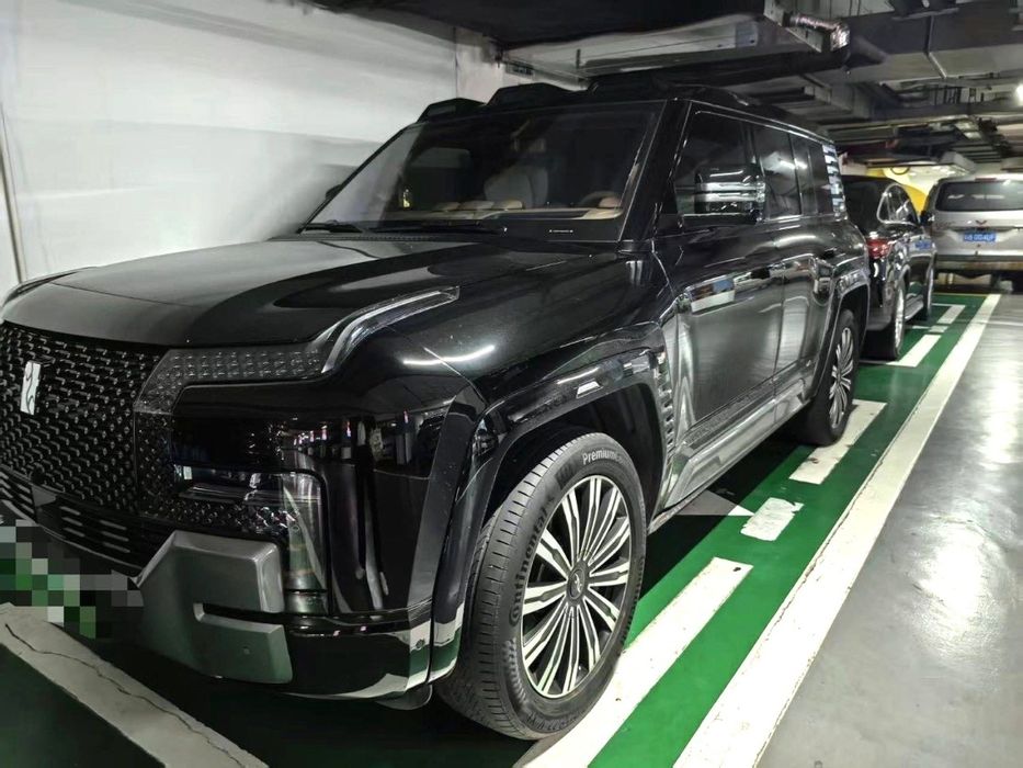 Other Yangwan U8 2024