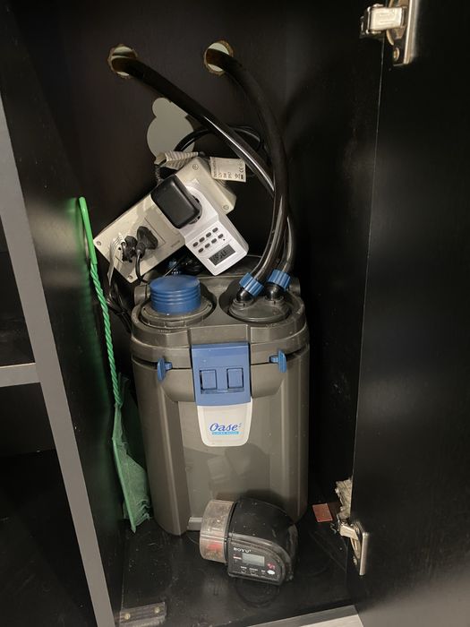 Acvariu complet 200L cu ciclide Malawi.