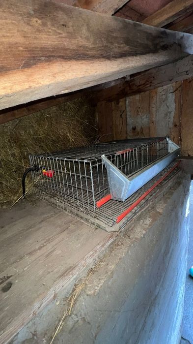 Cuști de prepelițe