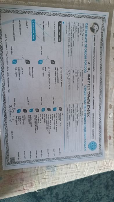 Продается ягдтерьр