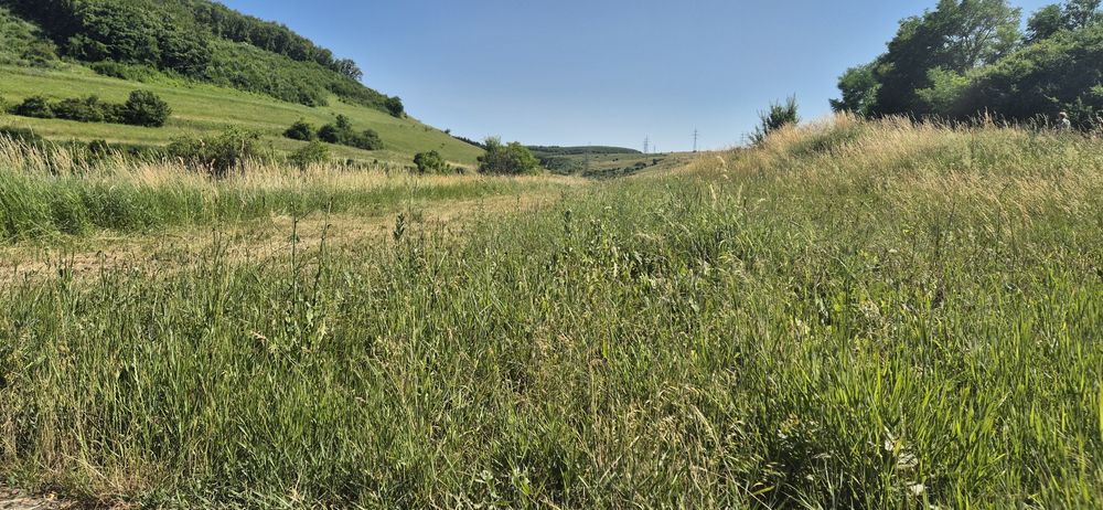 Vand teren Hala  ,  casa , duplex ,la asfalt Luna de sus 1000mp