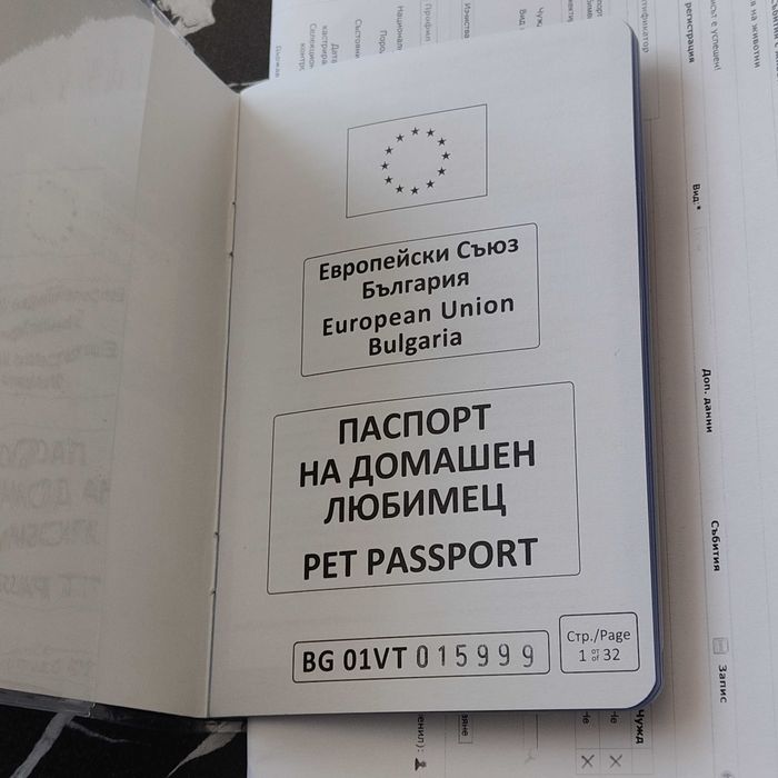Hемска Oвчарска със чип и всички ваксини